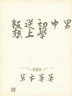 叛逆初中男孩不想上学