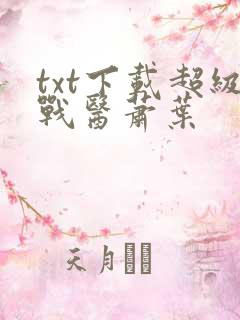 txt下载超级战医萧叶