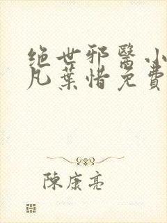 绝世邪医小说林凡叶惜免费阅读全文
