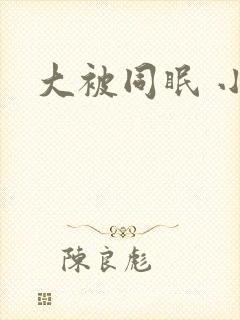 大被同眠 小说