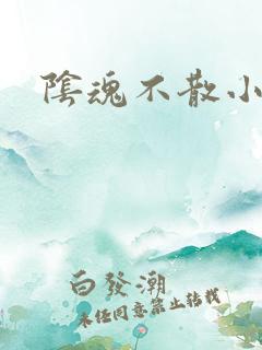 阴魂不散小说