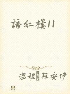 诱红楼11