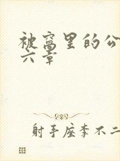 被窝里的公息第六章