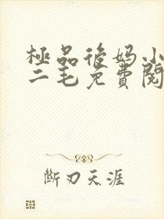 极品后妈小说王二毛免费阅读全文