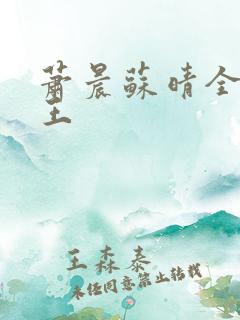 萧晨苏晴全能兵王