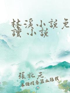 林溪小说免费阅读 小说