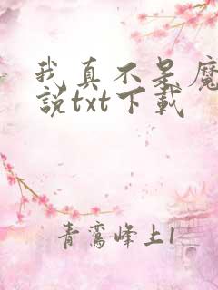 我真不是魔神小说txt下载