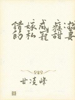 错嫁成瘾:总裁的私宠甜妻