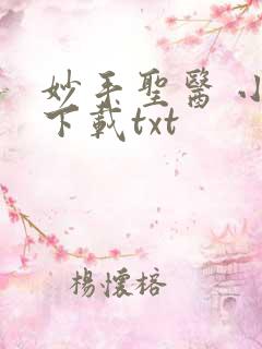 妙手圣医 小说下载txt