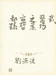 都市之医武风流孙哲叶巧