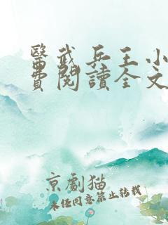 医武兵王小说免费阅读全文