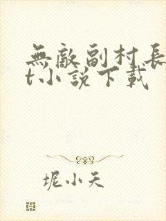 无敌副村长txt小说下载