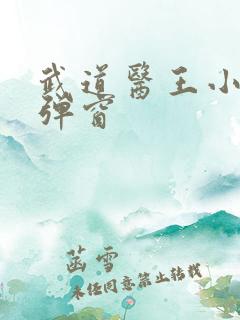 武道医王小说无弹窗