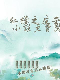 红楼之庶子风流 小说免费阅读