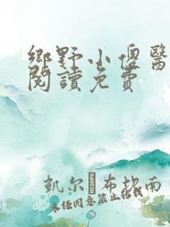 乡野小傻医全文阅读免费