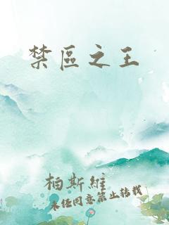 禁区之王