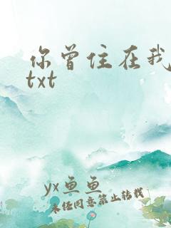 你曾住在我心上txt