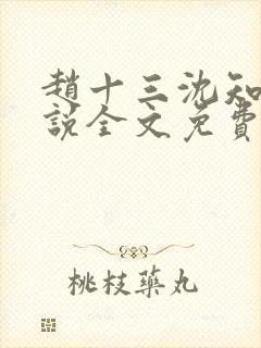 赵十三沈知霜小说全文免费阅读下载