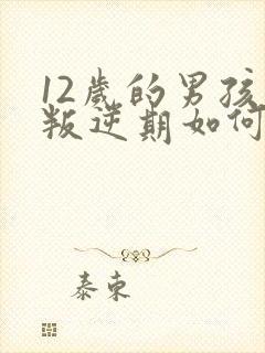 12岁的男孩子叛逆期如何管教