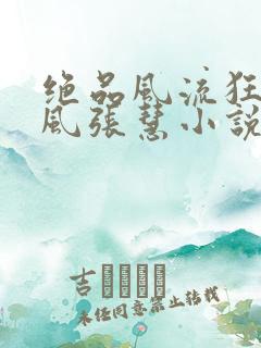 绝品风流狂医林风张慧小说在线看