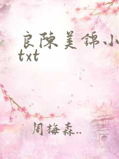 良陈美锦小说.txt