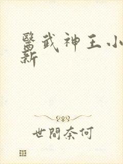 医武神王小说最新