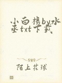 小白杨by水千丞txt下载