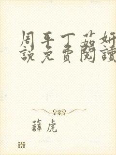 周平丁茹妍的小说免费阅读无弹窗