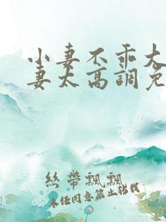 小妻不乖大佬宠妻太高调免费阅读