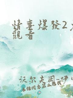 情事爆发2免费观看