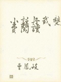 小说丹武双绝免费阅读