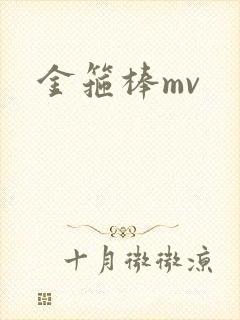 金箍棒mv