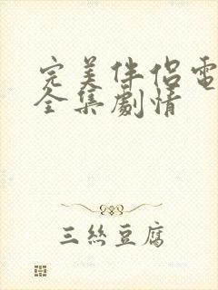 完美伴侣电视剧全集剧情