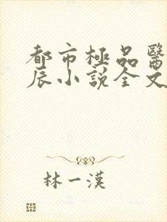都市极品医神叶辰小说全文阅读