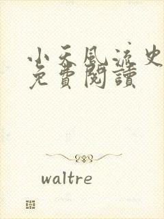 小天风流史小说免费阅读