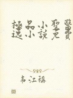 极品小圣医秦小逸小说免费阅读