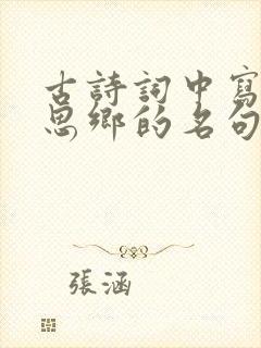 古诗词中写忧国思乡的名句