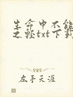 生命中不能承受之轻txt下载