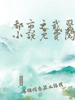 都市之武医风流小说免费阅读