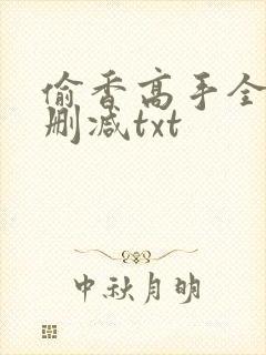 偷香高手全文无删减txt