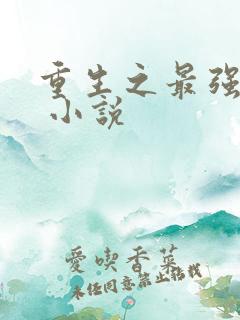 重生之最强弃少 小说