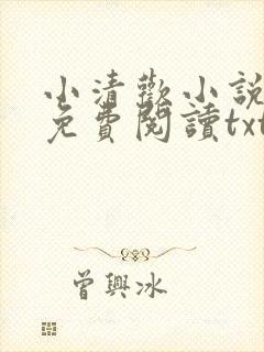 小清欢小说全文免费阅读txt