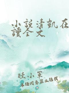 小说清凯在线阅读全文
