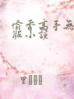 偷香高手无删减版小说