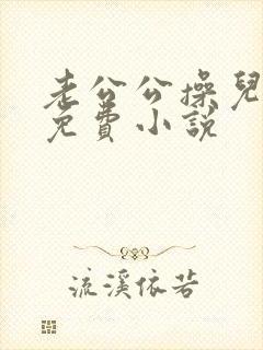 老公公操儿媳妇免费小说