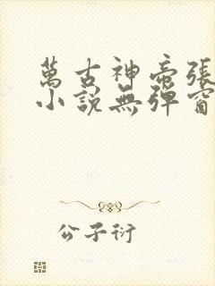 万古神帝张若尘小说无弹窗无广告
