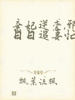 弃妃逆袭,邪王日日追妻忙