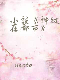 小说《神级高手在都市》