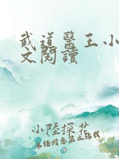 武道医王小说全文阅读