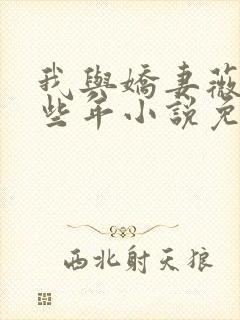 我与娇妻薇薇这些年小说免费阅读笔趣阁